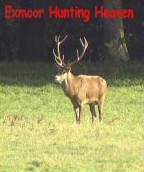 Exmoor Hunting Heaven (song)