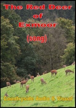 The Red Deer of Exmoor (SONG)