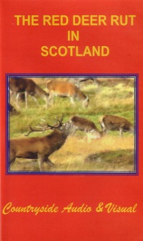 The Red Deer Rut in Scotland