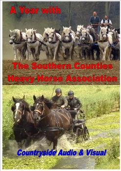A Year with the Southern Counties Heavy Horse Association